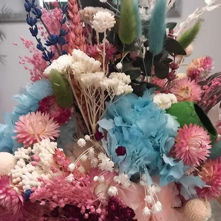 Casa De Silvares בית הארחה סלוריקו דה באשטו