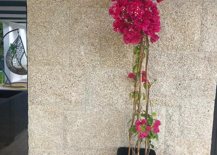 Casa De Silvares セロリコ・デ・バスト